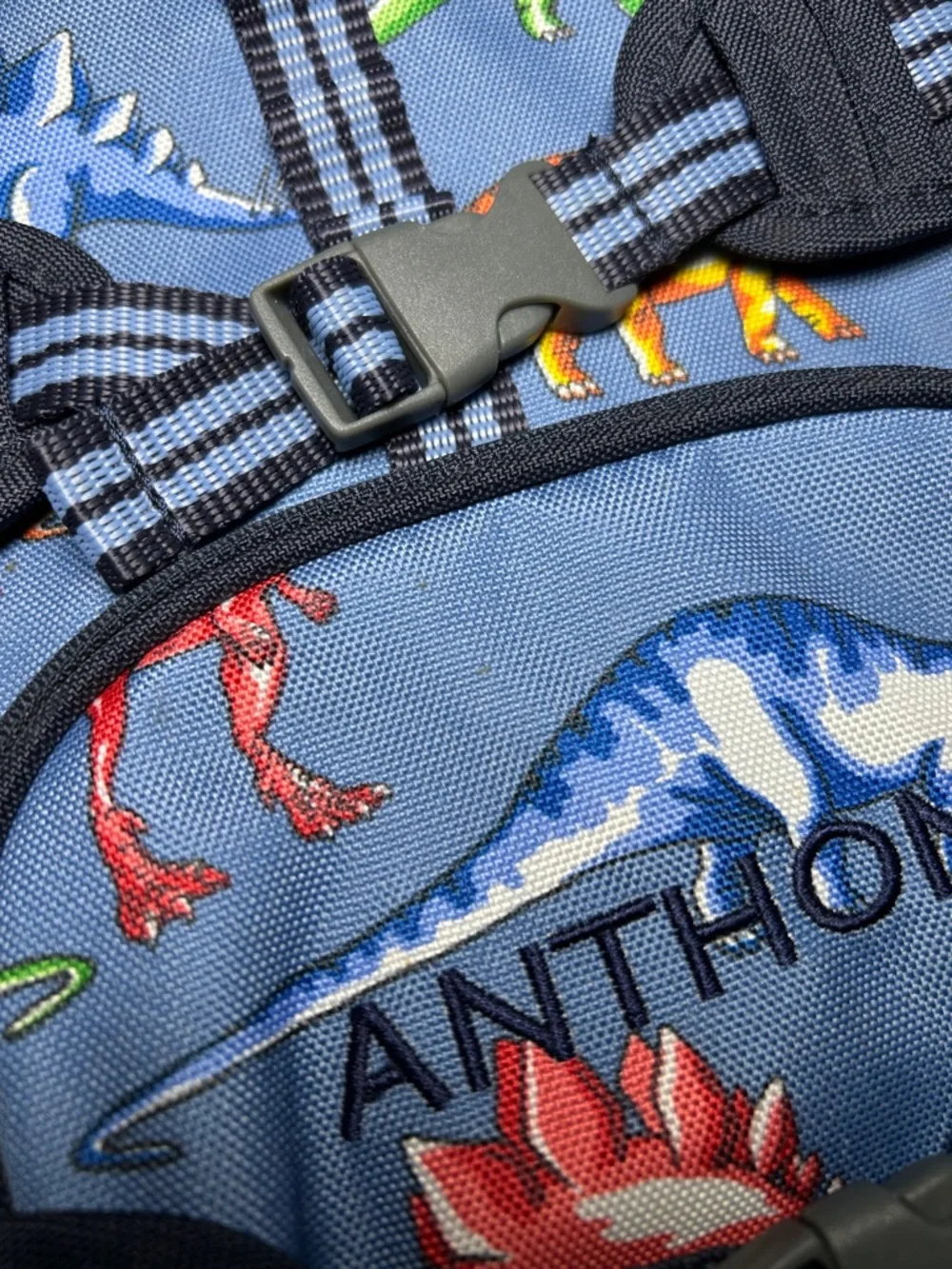 Pottery Barn Kids Personalized Kids Blue Dinosaur Backpack - Anthony - Picture 9 of 16